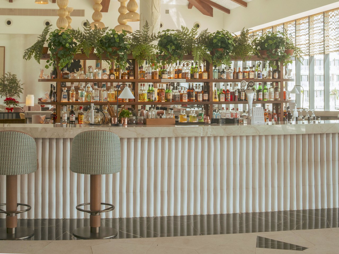 Bar, botellero, plantas colgantes
